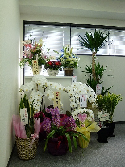 花束IT.jpg
